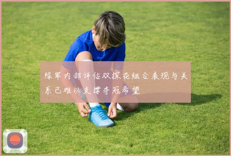 绿军内部评估双探花组合表现与关系已难以支撑夺冠希望